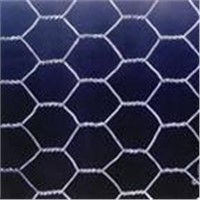 hexagonal wire mesh