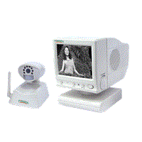 Wireless Monitor