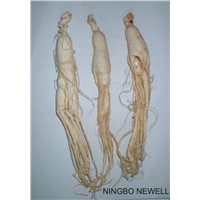 Dry White Ginseng Roots