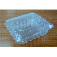 Plastic Food/Fruit Container