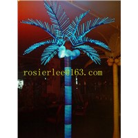 palm tree coconut tree road light