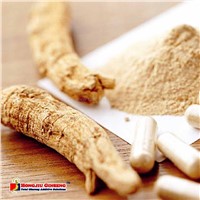 Ginseng Root and American Ginseng Extract for Pharmaceuticals