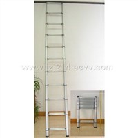Telescopic_Extension_Aluminum_Ladder