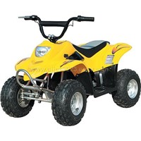ATV with 450W--Electric ATV
