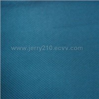 PVC Coated Fabric (70D X 70D)