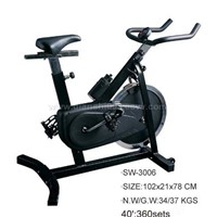 Spin Bike 3006