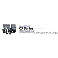 CJ (General Models Series Valve Regulated Lead Acid batteries
