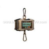 Crane Scale