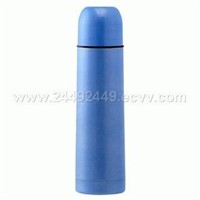 Bullet Shaped Vacuum Bottle