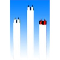 Fluorescent Lamp