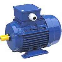 Electric Motor