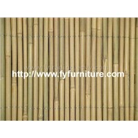 Bamboo Fence,Tonkin Bamboo,Bamboo Cane,Bamboo Sticks,Bamboo Poles,Bamboo Trellis,Tonkin Cane,Fern