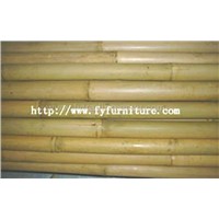 Tonkin Bamboo,Bamboo Cane,Bamboo Sticks,Bamboo Fence,Bamboo Poles,Bamboo Trellis,Tonkin Cane,Fern