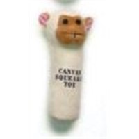 Canvas Squeaky Toy