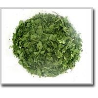 Dehydrated Vegetables (Caraway Leaves)