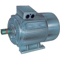 Y2 SERIES TOTAL ENCLOSED FAN COOLED Electric Motor