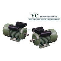 Electric Motor