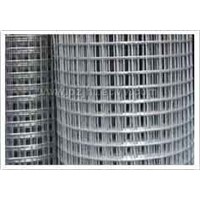 Welded Wire Mesh