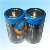 D Size (R20P) Dry Batteries