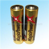 Alkaline Batteries (AAA Size)