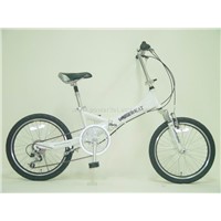 20inch Steel/Alloy Folding Bike