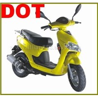 Motorcycles 50CC with DOT Approval