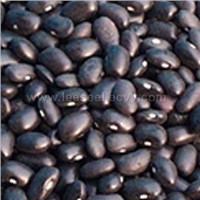 black kidney beans