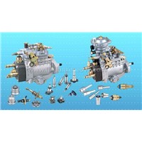 Diesel Parts,Piston ,Clutch Disk ,Pump,Head Rotor,Nozzle,Plunger,D.Valve Ect.