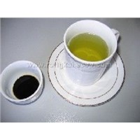 Green Tea Concentrate