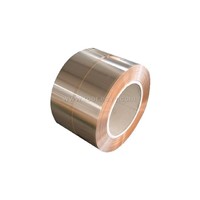 phosphor copper strips/High-tin phosphor