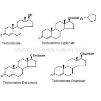 Testosterone,Testosterone Cypionate ,Testosterone Decanoate ,Testosterone Enanthate