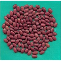 Pure Red Kidney Beans