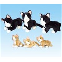 cats