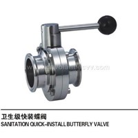 butterfly Valve