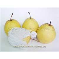 snow pear