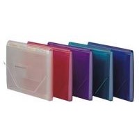 Colorful Expanding File