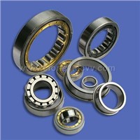 JM-06 Single Row Cylindrical Roller Bearings