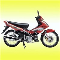 XGJ110-16A(III) Streamline and Fashionable Motocycle with Flaming Sticker