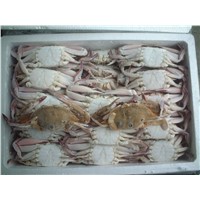 sell Frozen Three-Spot Crab