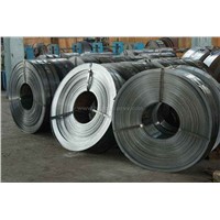 Hot Rolled Coils &amp;amp;amp; Strips and Cold Rolled Coils &amp;amp;amp; Strips