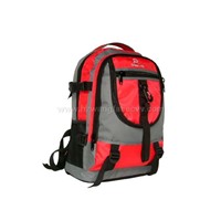 Casual Backpack (DA111)