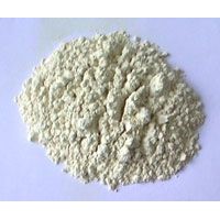Rice Protein Powdery (Feed Grade)