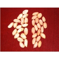 Long Type Peanut Kernels(Virginia Type)