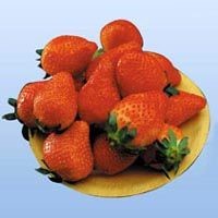 Cold Storage Strawberry (Fruits)