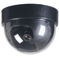 Dome Camera and Color CCD Camera (DF-300T)