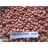 Peanut kernels Shandong Origin