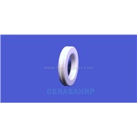 Ceramic Seal Ring