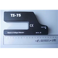 Metal detector