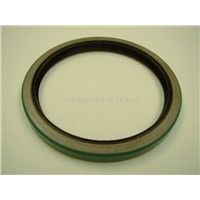 Oil Seal