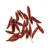 Dried Tientsin Chillis